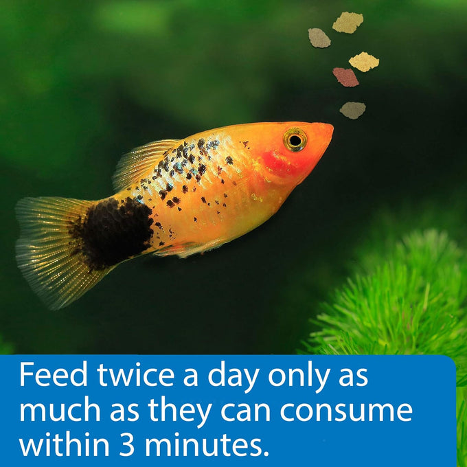 api tropical flakes fish food 5.7-ounce container for tropical community fish
