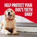 Milk-Bone Brushing Chews Original Chicken Flavor, 18 Large Daily Dental Dog Treats, 24.2 Oz Bag