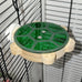 Wooden 5-Drawer Parrot Puzzle Feeder Toy with Acrylic Cover, Green, for Small Pets and Birds