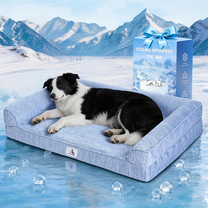 Medium cooling dog bed with orthopedic memory foam, waterproof, and washable nylon cover, blue, 36 inches