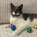 spot interactive colorful plush cat toys soccer balls 1.5 inch assorted 4 pack