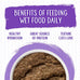 Weruva Classic Cat Paté with Chicken & Beef, Grain-Free, 3oz Cans, (Pack of 12)