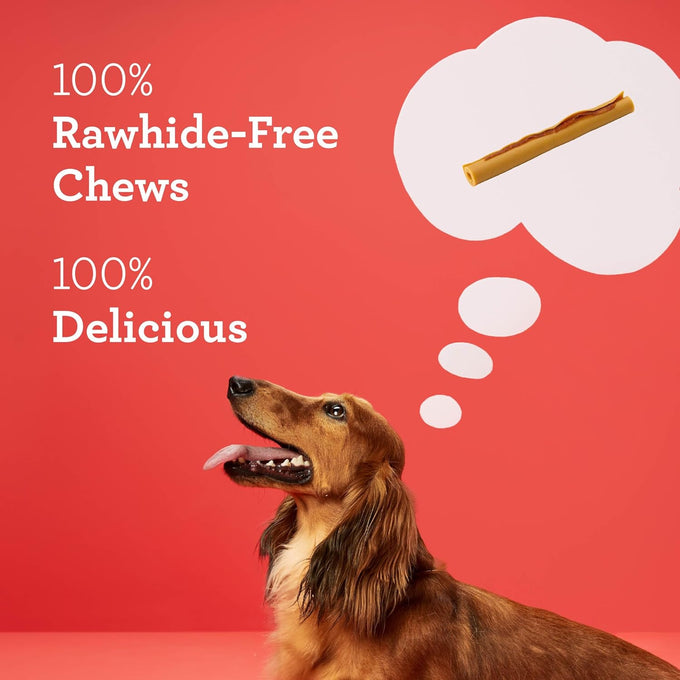 DreamBone DreamSticks with Real Bacon and Cheese Flavor Chews, 15 Rawhide-Free Dog Sticks for Healthy Teeth