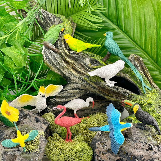 safari ltd exotic birds toob 10 figurines parakeet quetzal macaw hummingbird educational toy for kids