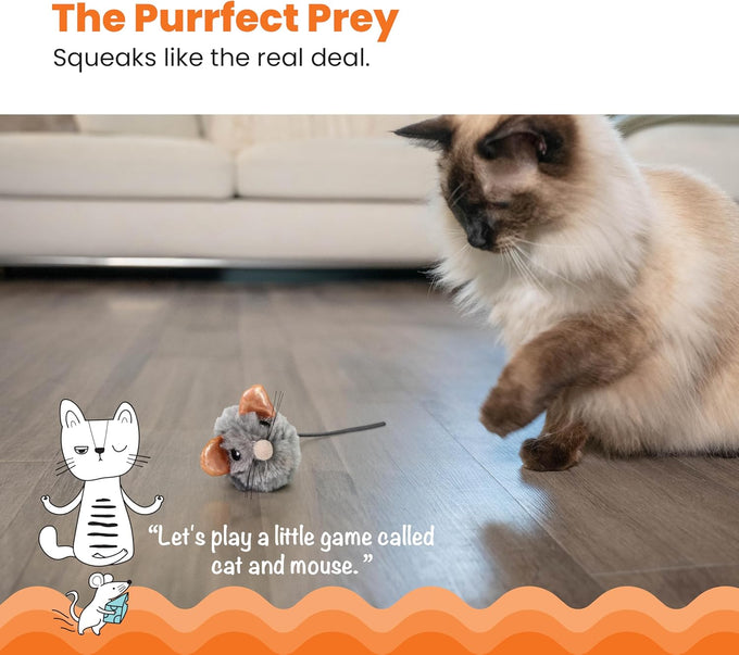 Catstages Squeak Squeak Mouse Cat Toy with Touch-Activated Sound, Catnip, and Soft Plush Gray