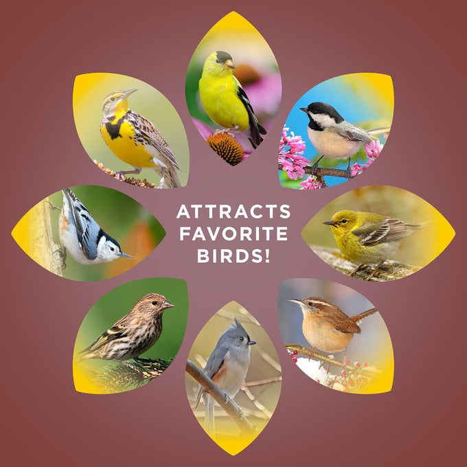 Audubon Park 5-Pound Bag Sunflower Hearts & Chips Wild Bird Food Attracts Finches and More No Mess Sunflower Seeds for Birds