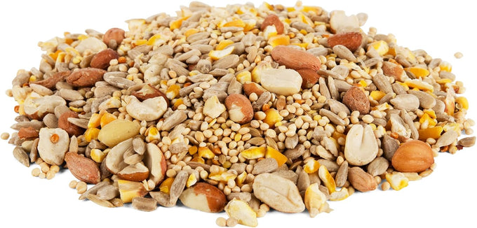 Morning Song clean & free shell bird food, premium no mess seed for outdoor feeders, 10-pound bag