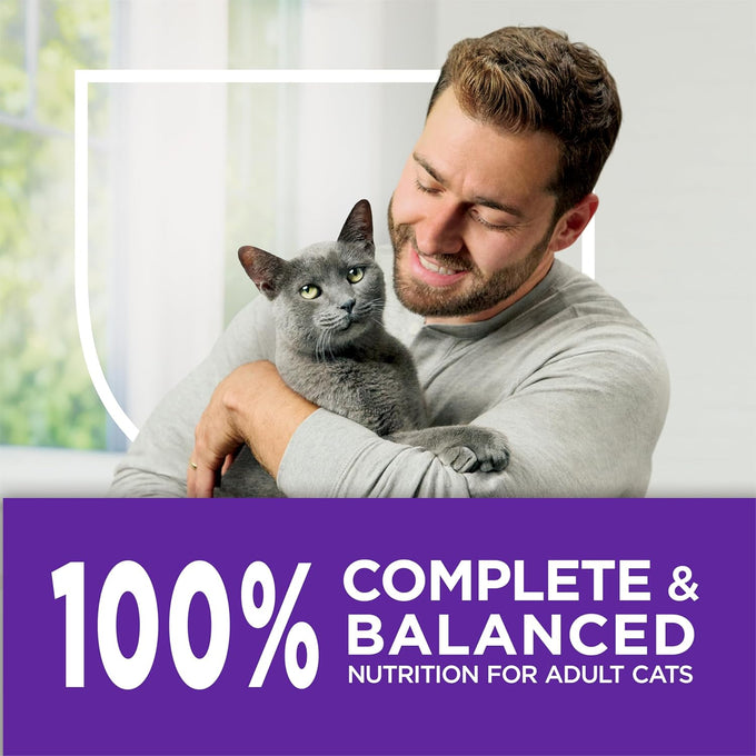 Purina Gentle Sensitive Stomach and Skin Cat Food with Turkey, 13 lb. Bag, Adult Dry Cat Food