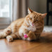 SmartyKat (2 Count Tea Teazers Catnip Cat Toys - Pink/Orange, 6.88" x 2.5" x 0.25")