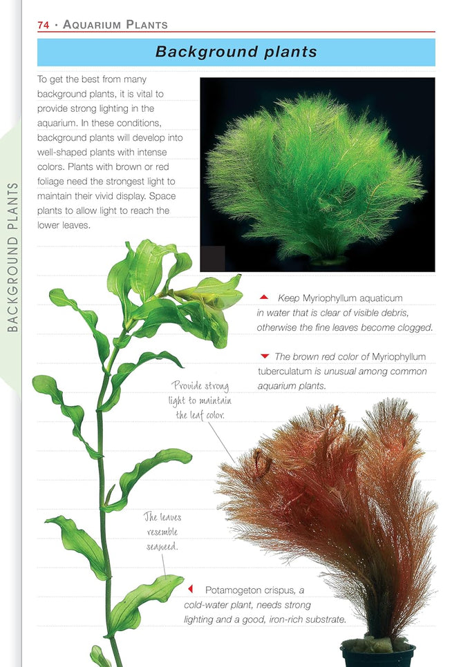 companionhouse-books-aquarium-plants-essential-guide-paperback-2004