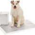 Amazon Basics 5-Layer Carbon Odor Control Dog Pee Pads, Regular Size, 22x22 Gray, 80 Count