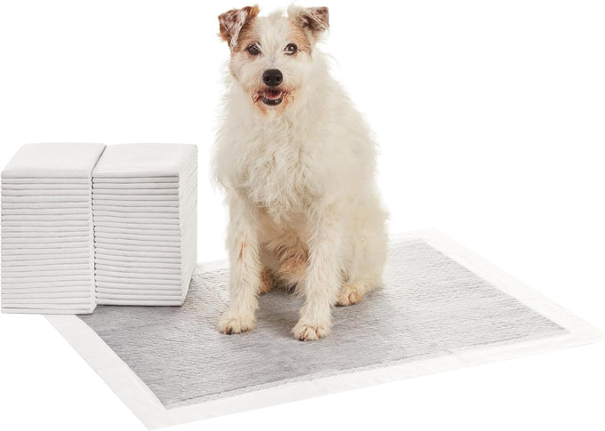 Amazon Basics 5-Layer Carbon Odor Control Dog Pee Pads, Regular Size, 22x22 Gray, 80 Count