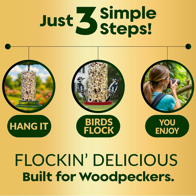 Woodpecker bird seed cylinders with hole – premium woodpecker food blend, USA made, 4" x 7.75"