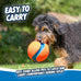 chuckit kick fetch ball dog toy large size 8-inch diameter floats in water durable rubber and foam