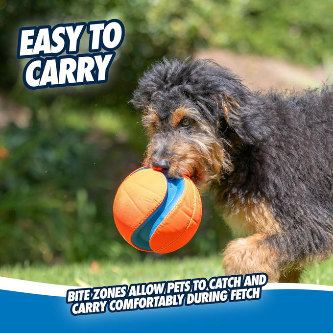 chuckit kick fetch ball dog toy large size 8-inch diameter floats in water durable rubber and foam