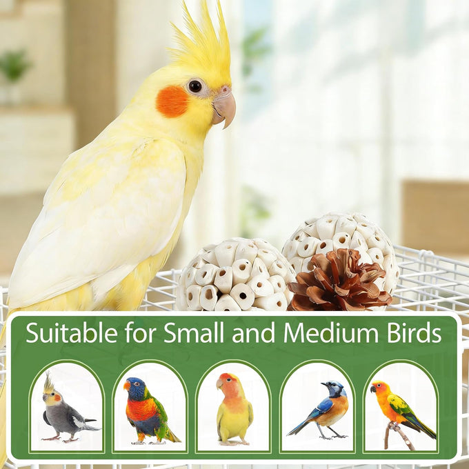 natural bird toys rattan foraging box parrot cockatiel lovebird parakeet budgie medium size non-toxic material