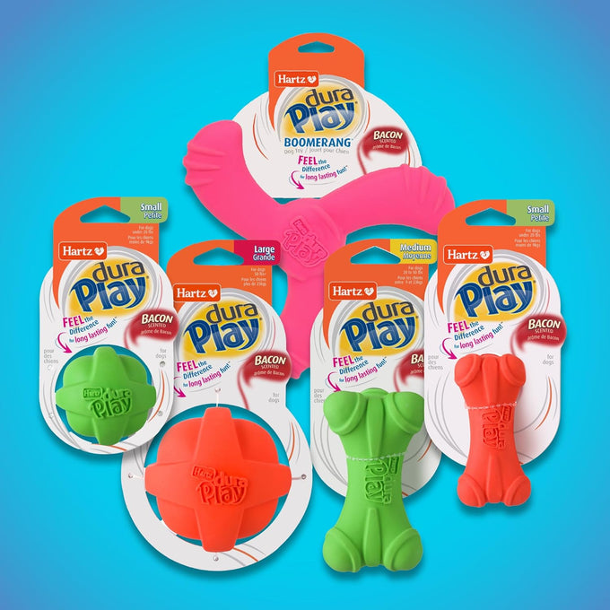Hartz DuraPlay Latex Dog Toy 3-Count Pack, Large, Neon Green, Pink, Orange, Bacon Scented