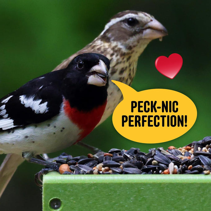 Cool Birds 10 lb Classic Blend Bird Seed with Black Oil Sunflower, White Millet, Safflower, Peanuts & Sunflower Hearts