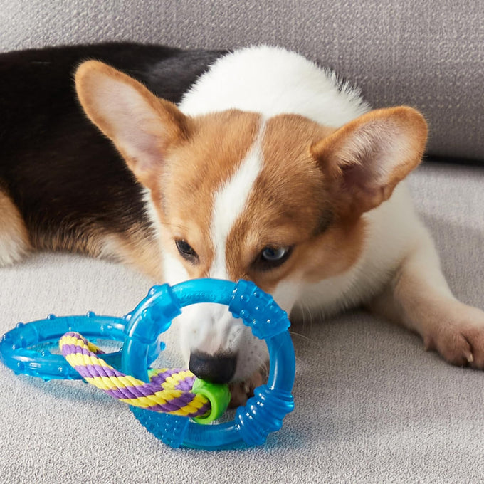 Petstages Dental Links Dog Chew Toy for puppies and adult strong chewers, 8.5" x 4" x 1" rope texture