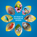 Audubon Park 14-Pound Songbird Blend Bird Food for Outside Feeders and Backyard Wildlife