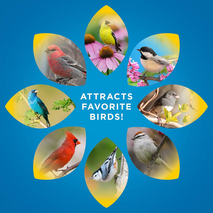 Audubon Park 14-Pound Songbird Blend Bird Food for Outside Feeders and Backyard Wildlife