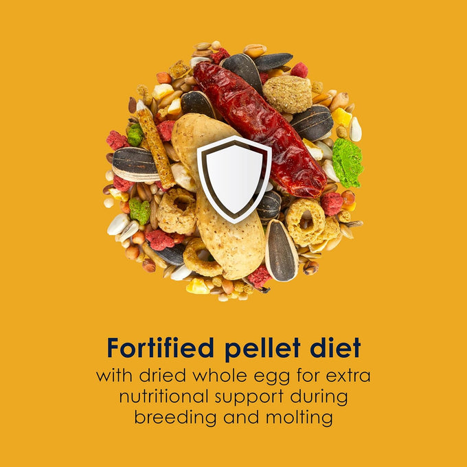 kaytee forti-diet pro health egg-cite conure & lovebird food, 3 pound, high protein, digestive health, brain function support