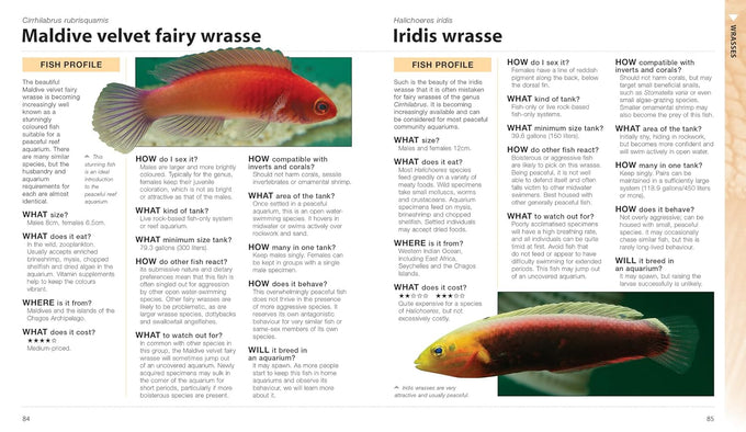 What Saltwater Fish: A Comprehensive Guide for Aquarium Enthusiasts, March 10, 2023, Paperback