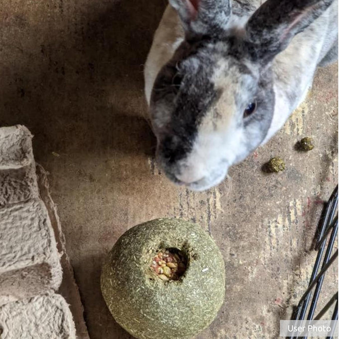 Kaytee timothy hay roll 'n' toss toy for pet rabbits, guinea pigs, and chinchillas, 100% edible
