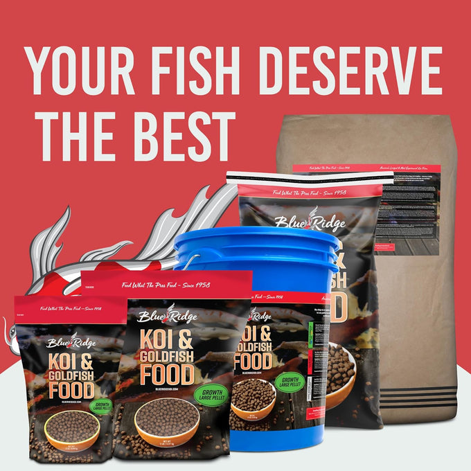 Blue Ridge Koi Fish Food 5lb - Large 3/16 inch Growth Formula for Koi, Goldfish, and Pond Fish