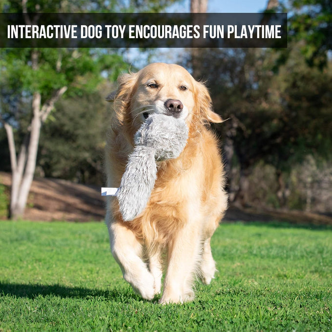 hyper-pet-doggie-tail-interactive-plush-automatic-dog-toy-for-all-dog-breeds