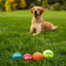 Outward Hound Squeaker Ballz, medium tennis balls, 2.5", 4-pack for dogs under 50 lbs, interactive dog toys