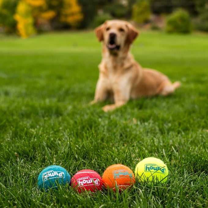 Outward Hound Squeaker Ballz, medium tennis balls, 2.5", 4-pack for dogs under 50 lbs, interactive dog toys