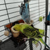 Triple Cup Parrot Feeding Toy with Portion Control System for Small-Medium Parrots, Wood and Acrylic Base, Easy Maintenance