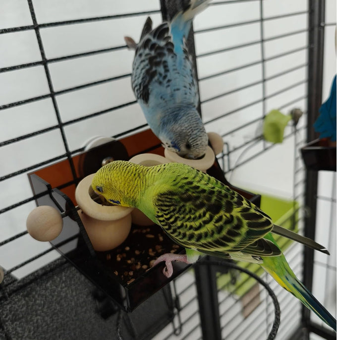 Triple Cup Parrot Feeding Toy with Portion Control System for Small-Medium Parrots, Wood and Acrylic Base, Easy Maintenance