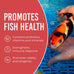 Blue Ridge Probiotic Plus 3/16" Floating Pellet Koi Food, 5lb, for Immunity and Digestion