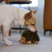 Outward Hound Hedgehogz Soft Plush Hedgehog Squeaks Dog Toy 6" x 4" x 4.5" available in multiple sizes