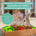oxbow essentials rabbit food, adult, timothy hay, pet pellets, vitamins, minerals, high fiber, 10 lb bag, usa made