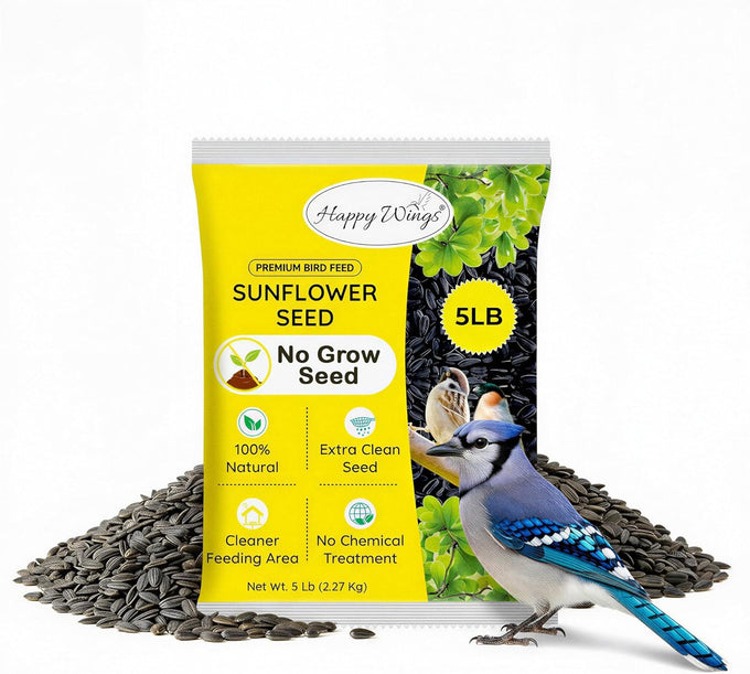 happy-wings-black-oil-sunflower-seeds-5-lb-wild-bird-food-for-cardinals-finches-and-chickadees