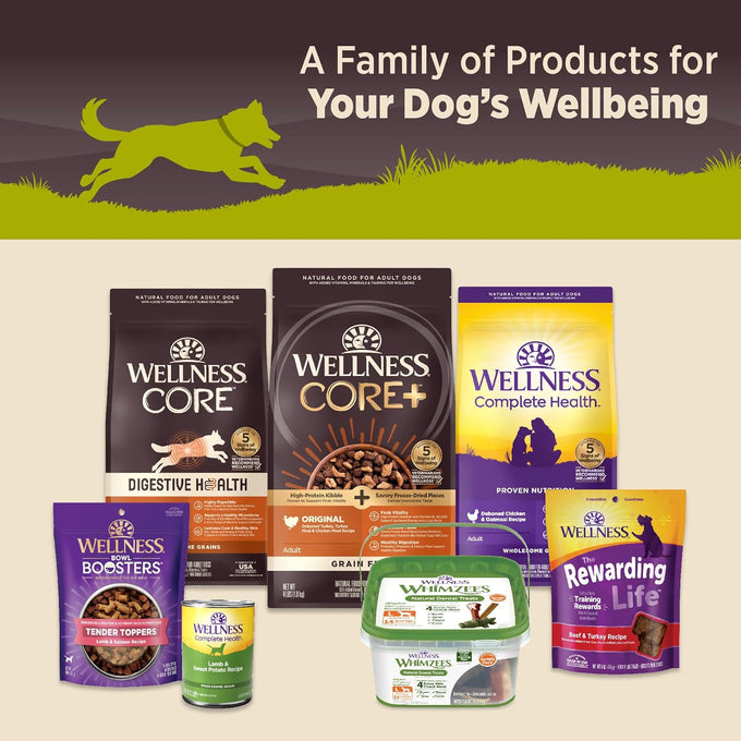 Wellness CORE Grain-Free Adult Wet Dog Food, Natural, 12.5oz, 12-Pack