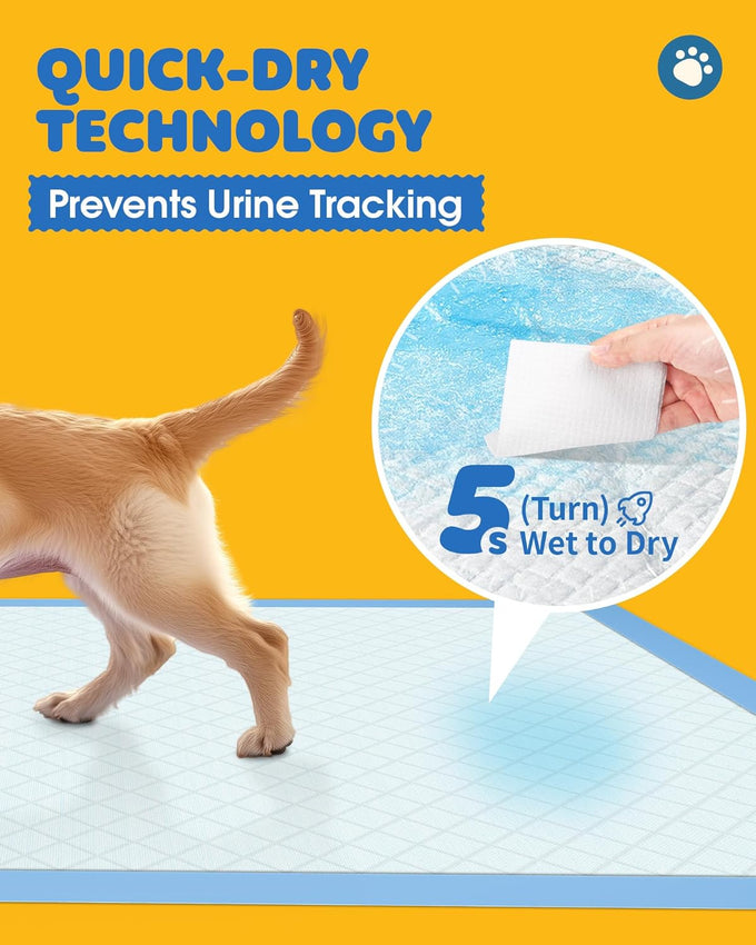 Powools 50-Pack Extra Large Puppy Pads for Dogs with 6-Layer Leakproof Protection and High Absorbency