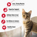 Nulo Freestyle Cat & Kitten Dry Food, Chicken & Cod Recipe, High Protein Grain Free, 4lb Bag, Natural Kibble