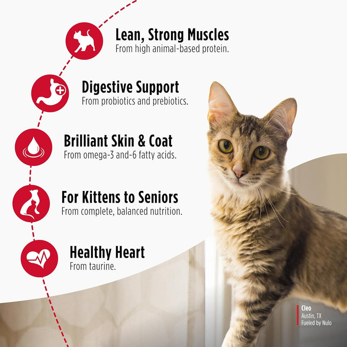 Nulo Freestyle Cat & Kitten Dry Food, Chicken & Cod Recipe, High Protein Grain Free, 4lb Bag, Natural Kibble