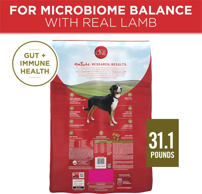 Purina ONE Dry Dog Food - Lamb & Rice Formula, 31.1 lb