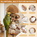natural bird toys for parrots - handmade coconut shell shredding toy for sun conures conures caiques cockatiels