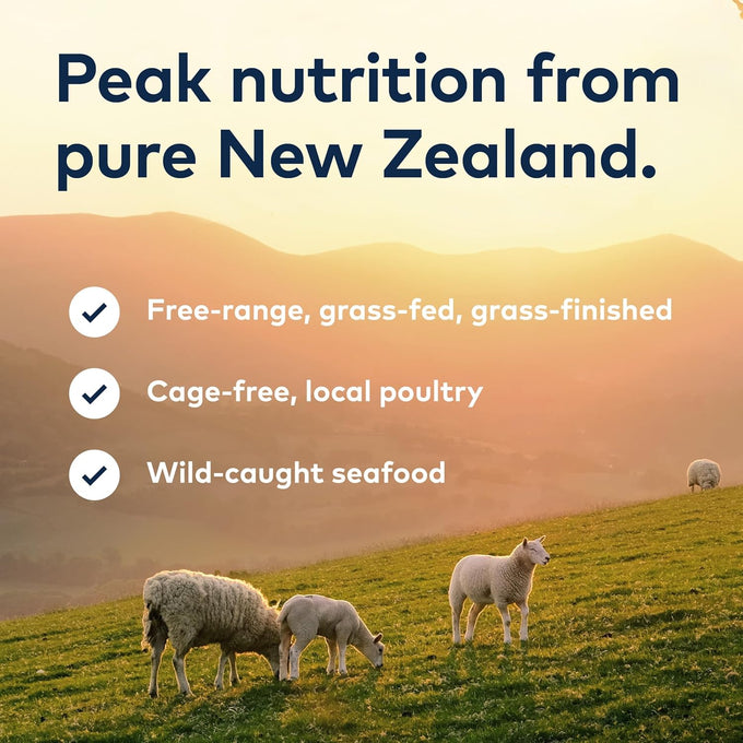 ZIWI Peak Canned Wet Dog Food - Mackerel & Lamb, 12 x 13.75oz