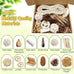 natural bird toys rattan foraging box parrot cockatiel lovebird parakeet budgie medium size non-toxic material