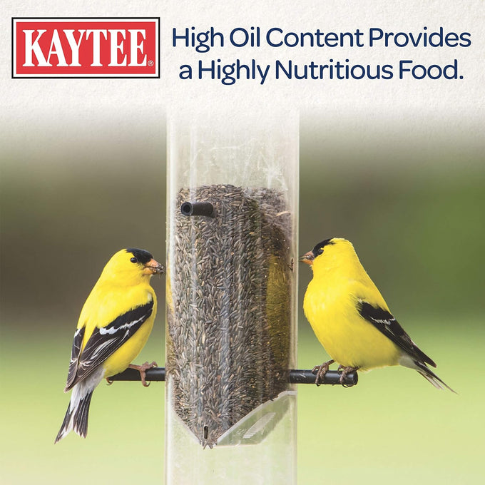 Kaytee Nyjer wild bird food seed, 3-pound, no hulls, 100% edible, high oil content, attracts finches and songbirds