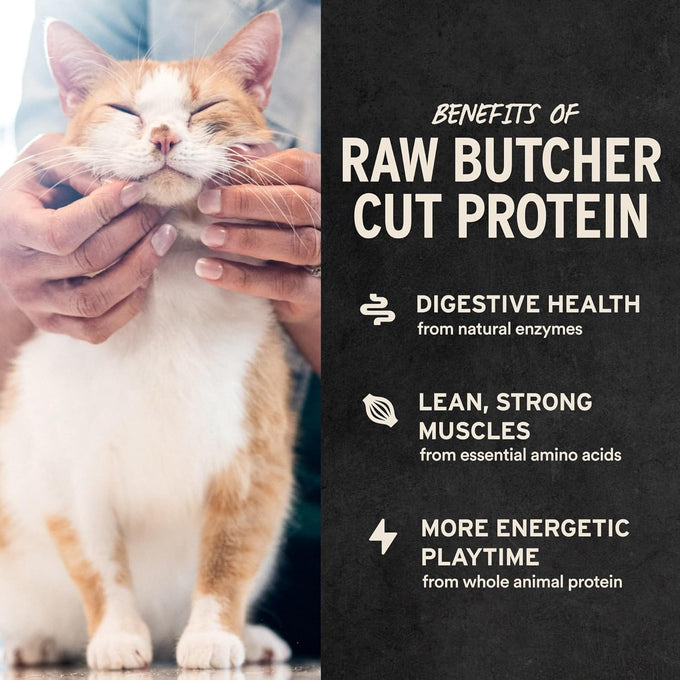 Vital Essentials freeze-dried rabbit cat treats, single protein, grain free, crunchy, 0.9 oz bag, premium quality