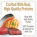 pate variety pack of purina fancy feast savory centers with chicken salmon beef and tuna