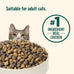 Rachael Ray Nutrish Indoor Complete Chicken, Lentils & Salmon Recipe Dry Cat Food, 6 lb.
